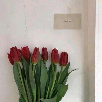 神喻无限元宝破解版下载